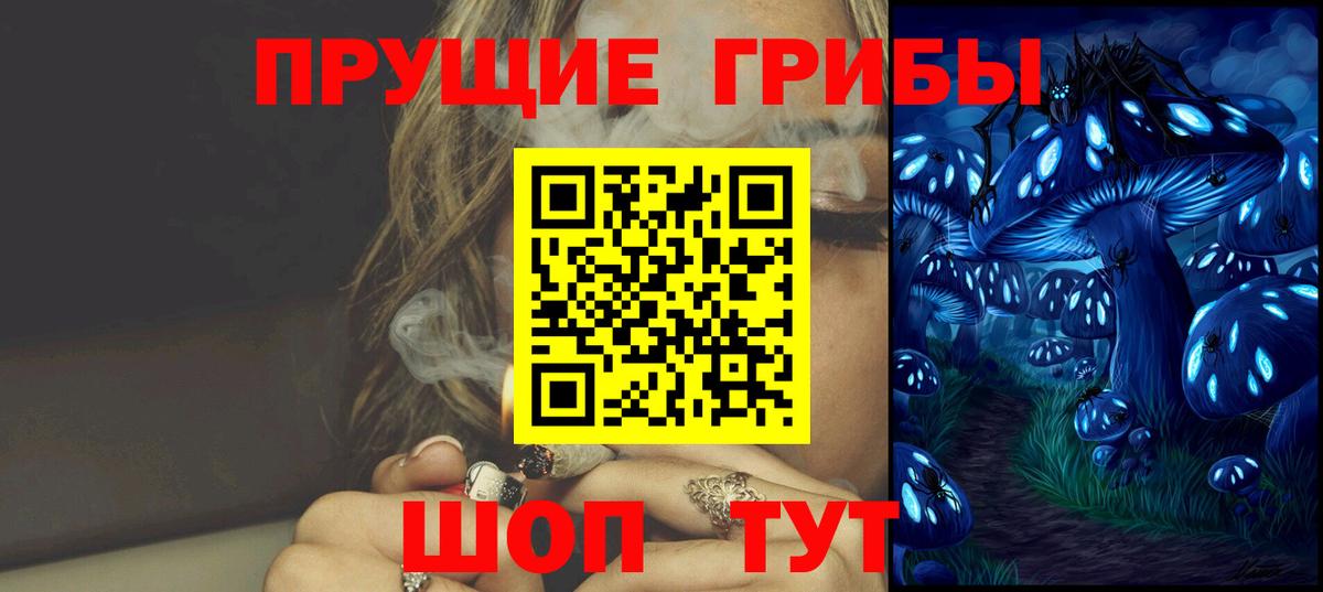 Псилоцибиновые грибы Cubensis  Галлюциногенные грибы GOLDEN TEACHER  Вход с VPN  Карасук 
